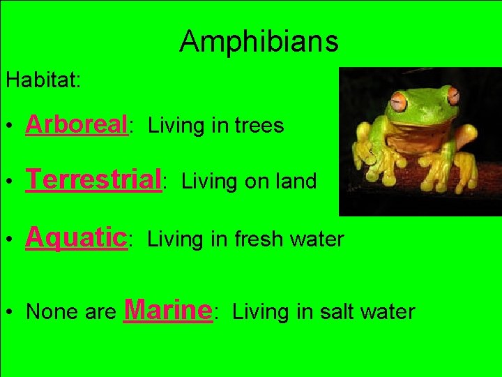 Amphibians Habitat: • Arboreal: Living in trees • Terrestrial: • Aquatic: Living on land