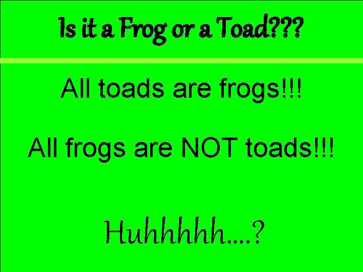 Is it a Frog or a Toad? ? ? All toads are frogs!!! All