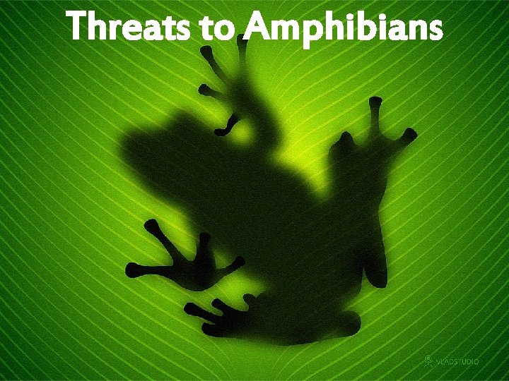 Threats to Amphibians 