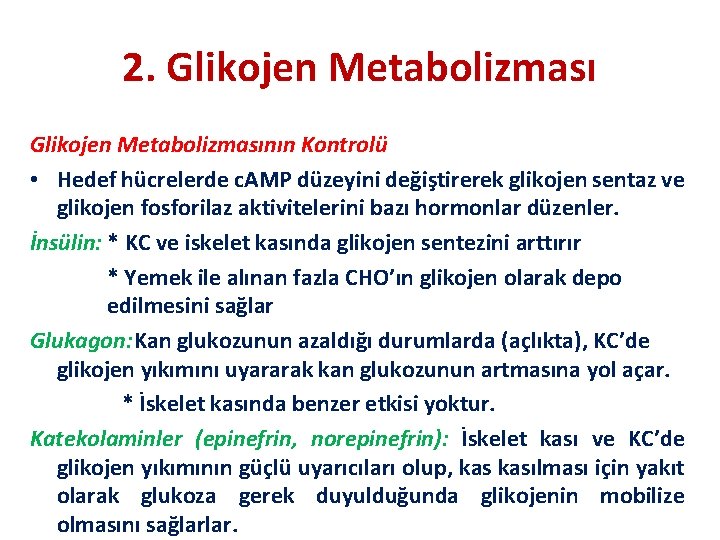 2. Glikojen Metabolizmasının Kontrolü • Hedef hücrelerde c. AMP düzeyini değiştirerek glikojen sentaz ve