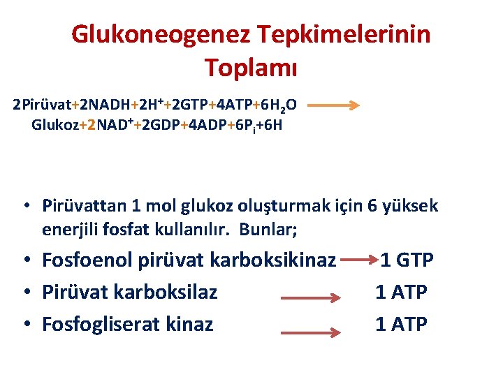 Glukoneogenez Tepkimelerinin Toplamı 2 Pirüvat+2 NADH+2 H++2 GTP+4 ATP+6 H 2 O Glukoz+2 NAD++2