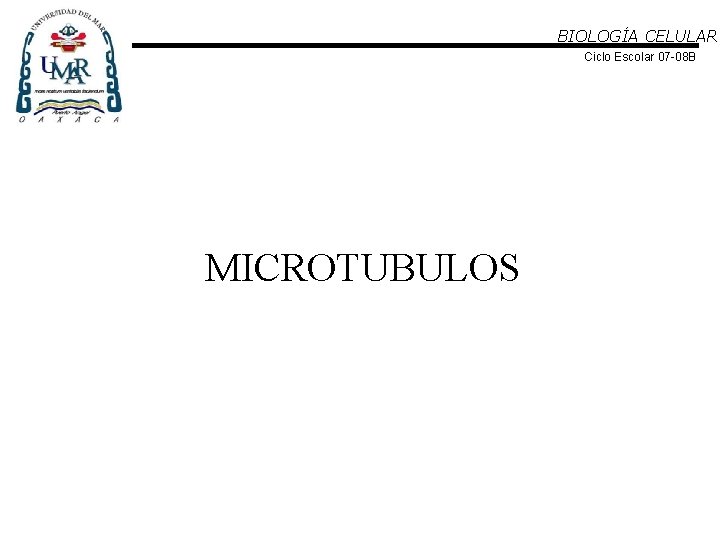 BIOLOGÍA CELULAR Ciclo Escolar 07 -08 B MICROTUBULOS 