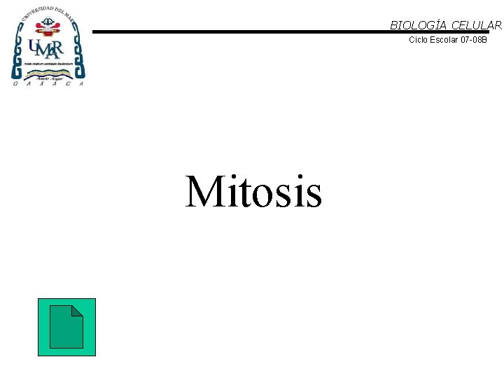 BIOLOGÍA CELULAR Ciclo Escolar 07 -08 B Mitosis 