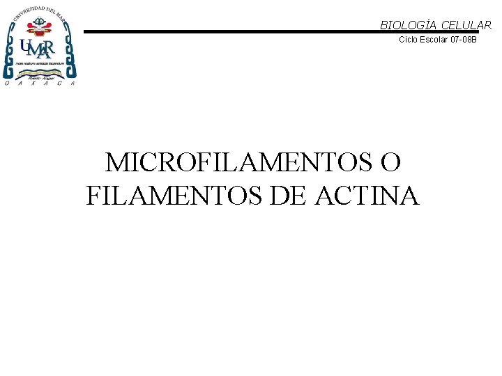 BIOLOGÍA CELULAR Ciclo Escolar 07 -08 B MICROFILAMENTOS O FILAMENTOS DE ACTINA 