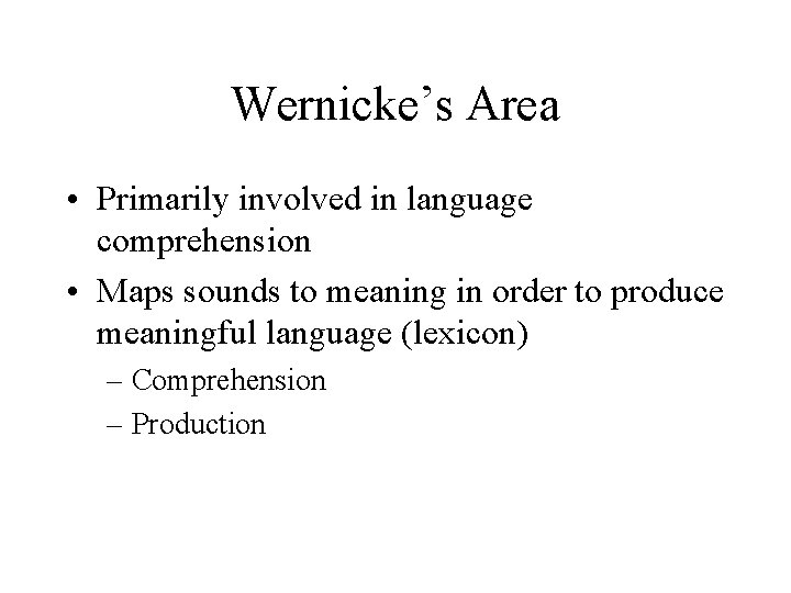 Wernicke’s Area • Primarily involved in language comprehension • Maps sounds to meaning in