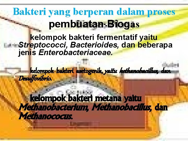 Bakteri yang berperan dalam proses pembuatan Biogas kelompok bakteri fermentatif yaitu Streptococci, Bacterioides, dan