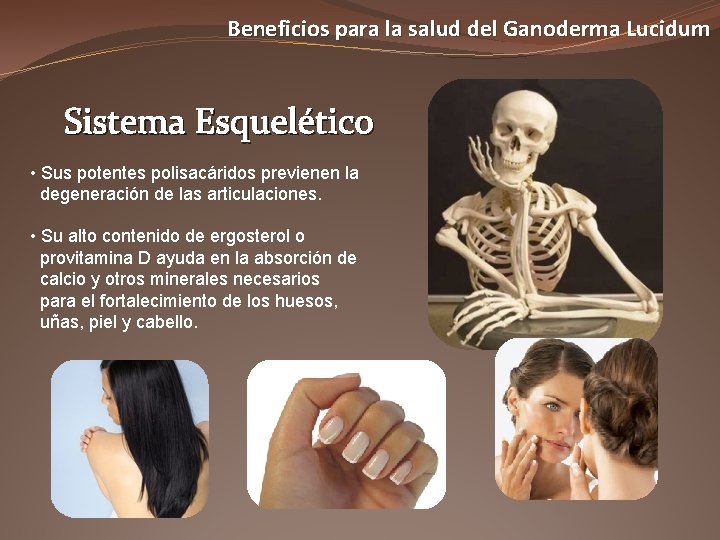 Beneficios para la salud del Ganoderma Lucidum Sistema Esquelético • Sus potentes polisacáridos previenen