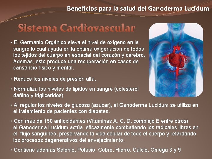 Beneficios para la salud del Ganoderma Lucidum Sistema Cardiovascular • El Germanio Orgánico eleva