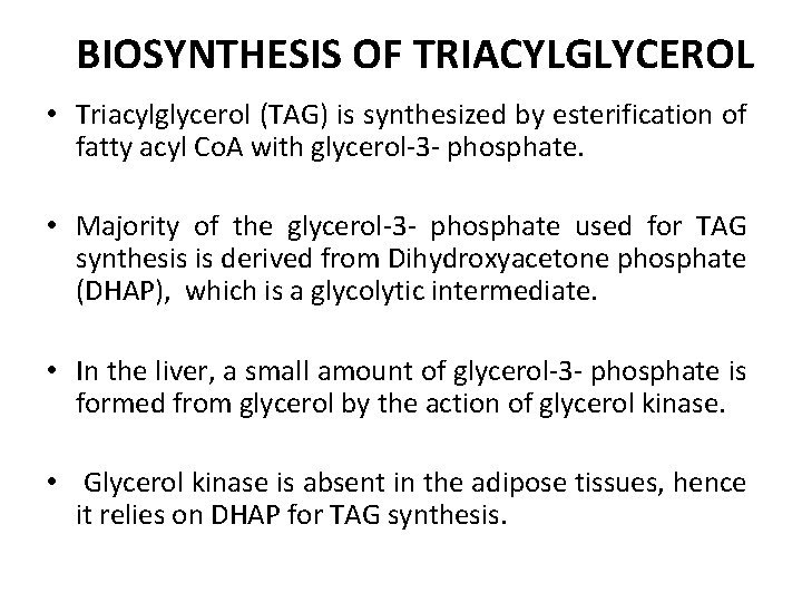 BIOSYNTHESIS OF TRIACYLGLYCEROL • Triacylglycerol (TAG) is synthesized by esterification of fatty acyl Co.