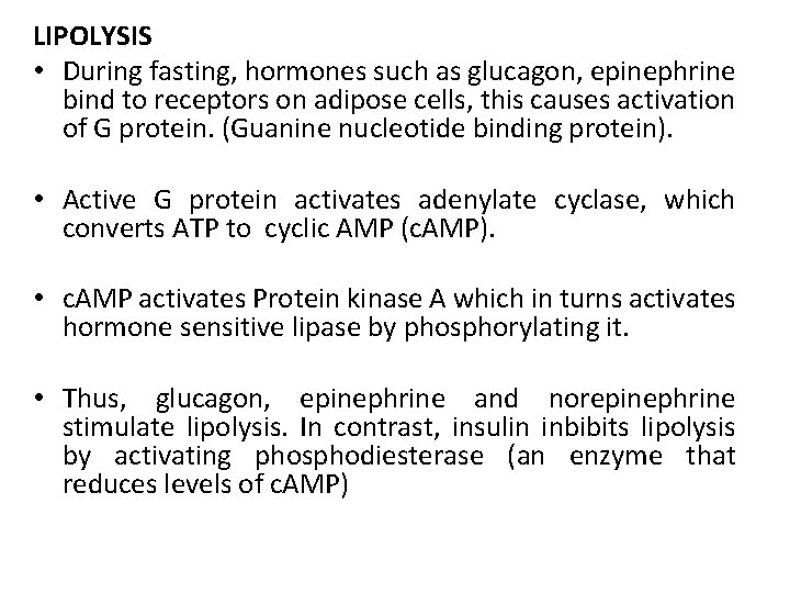 LIPOLYSIS • During fasting, hormones such as glucagon, epinephrine bind to receptors on adipose