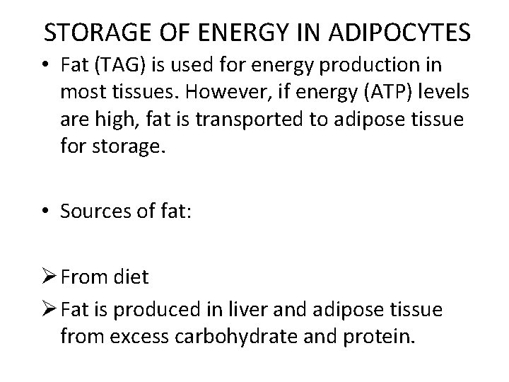 STORAGE OF ENERGY IN ADIPOCYTES • Fat (TAG) is used for energy production in