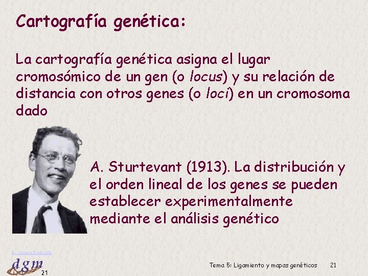Cartografía genética: La cartografía genética asigna el lugar cromosómico de un gen (o locus)