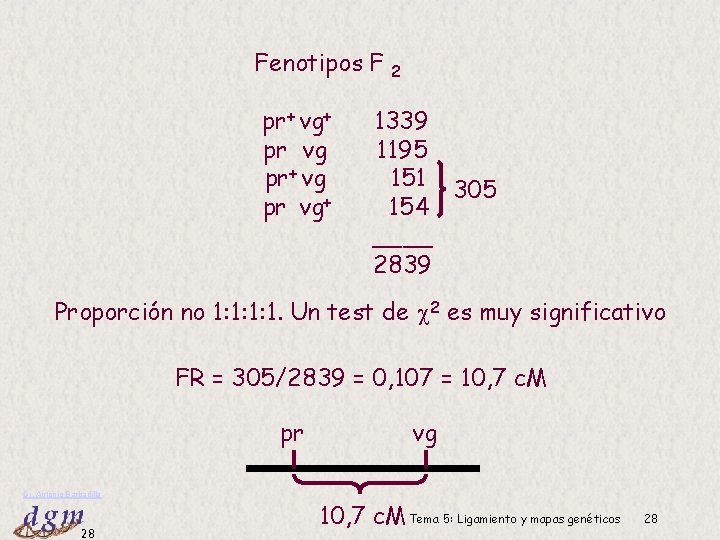 Fenotipos F pr+ vg+ pr vg pr+ vg pr vg+ 2 1339 1195 151