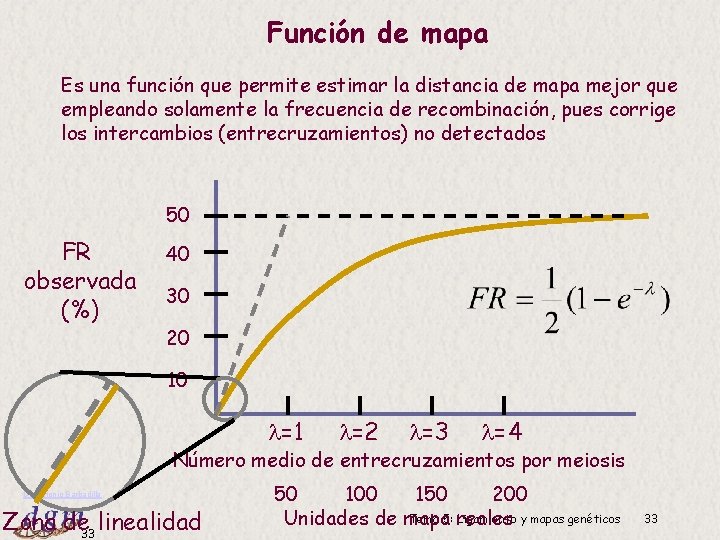Función de mapa Es una función que permite estimar la distancia de mapa mejor