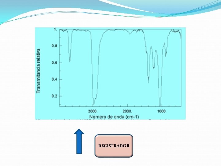 REGISTRADOR 