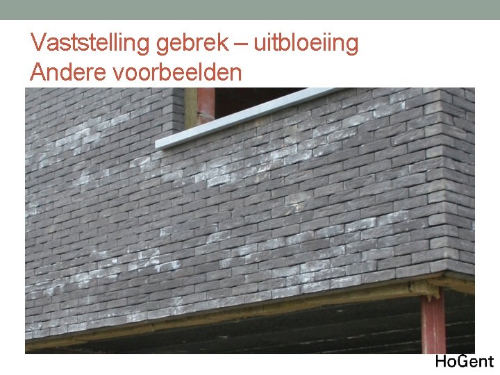 Vaststelling gebrek – uitbloeiing Andere voorbeelden 