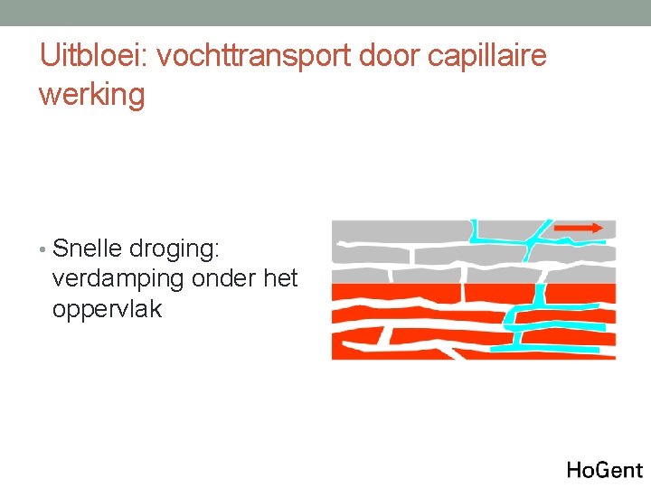 Uitbloei: vochttransport door capillaire werking • Snelle droging: verdamping onder het oppervlak 