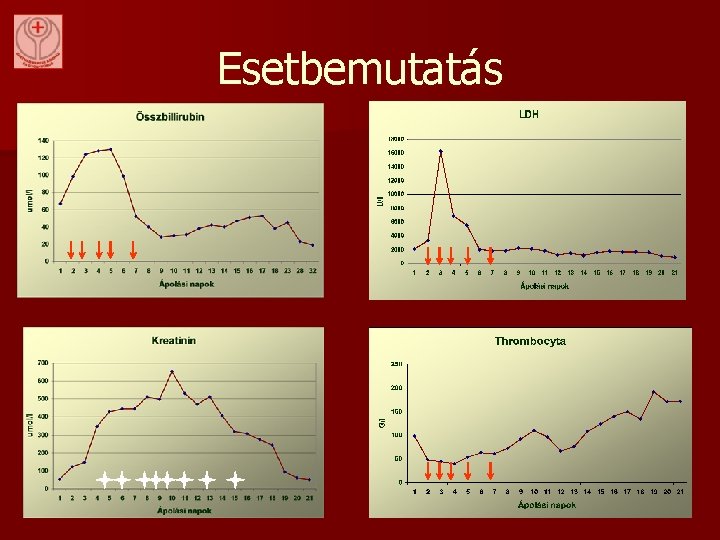 Esetbemutatás 