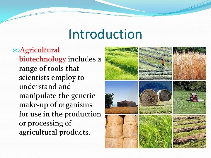 Introduction Agricultural biotechnology includes a range of tools that scientists employ to understand manipulate