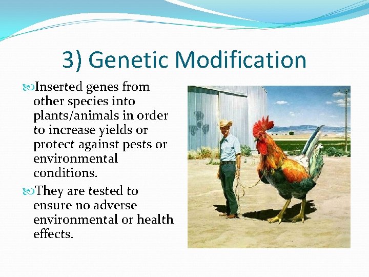 3) Genetic Modification Inserted genes from other species into plants/animals in order to increase