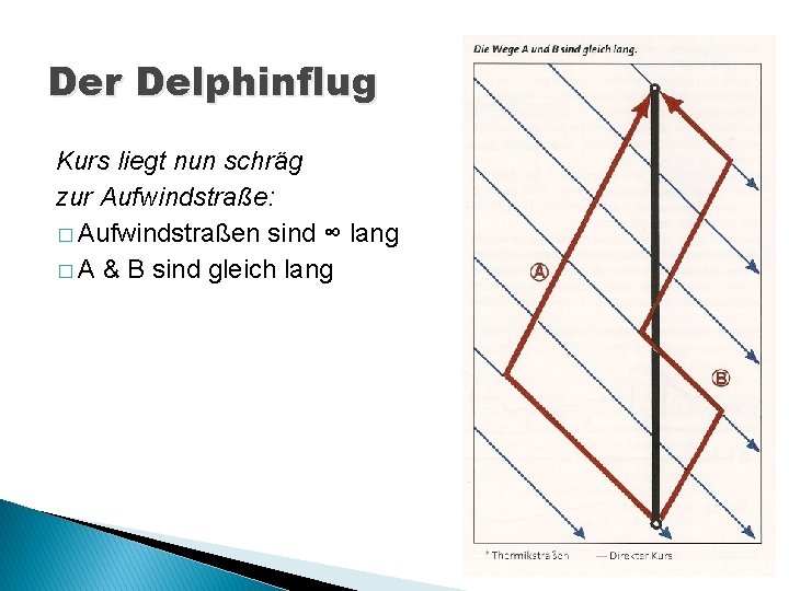 Der Delphinflug Kurs liegt nun schräg zur Aufwindstraße: � Aufwindstraßen sind ∞ lang �