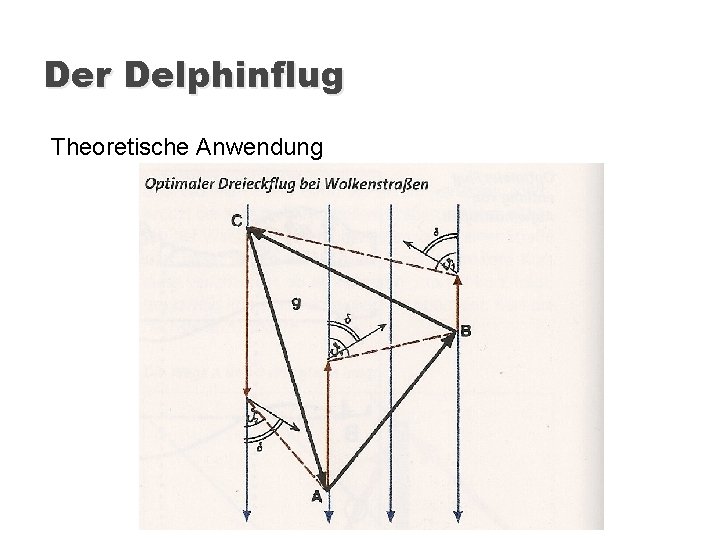 Der Delphinflug Theoretische Anwendung 