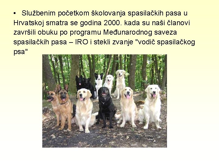  • Službenim početkom školovanja spasilačkih pasa u Hrvatskoj smatra se godina 2000. kada