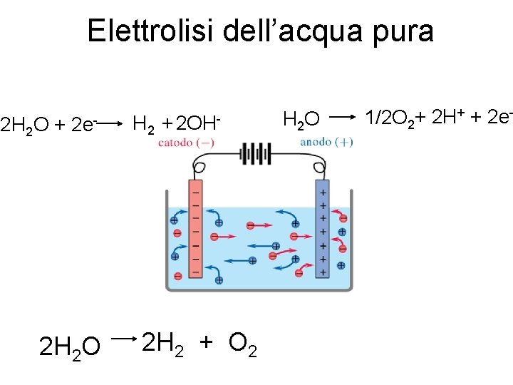 Elettrolisi dell’acqua pura 2 H 2 O + 2 e- 2 H 2 O