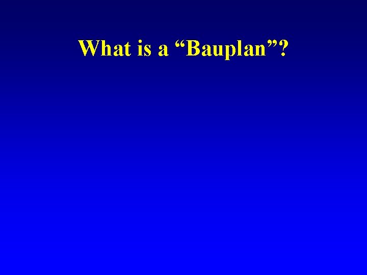 What is a “Bauplan”? 