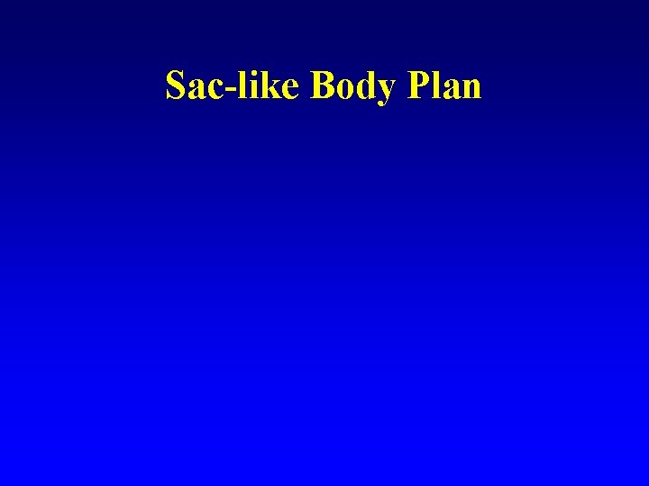 Sac-like Body Plan 