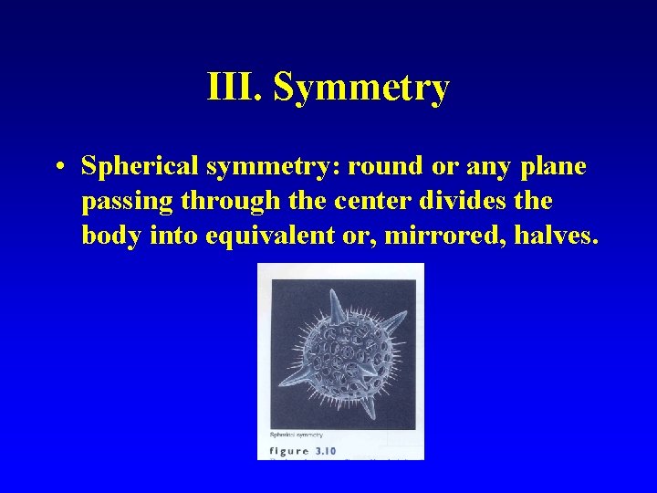 III. Symmetry • Spherical symmetry: round or any plane passing through the center divides