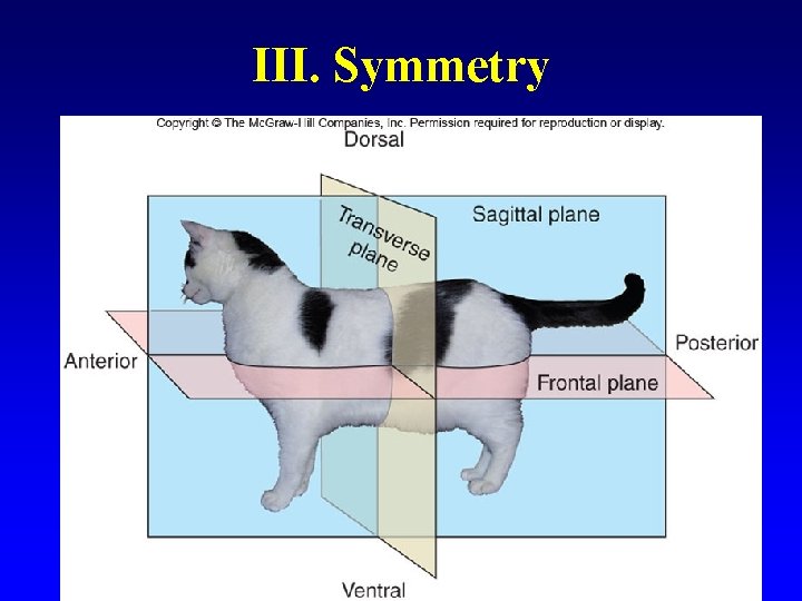 III. Symmetry 