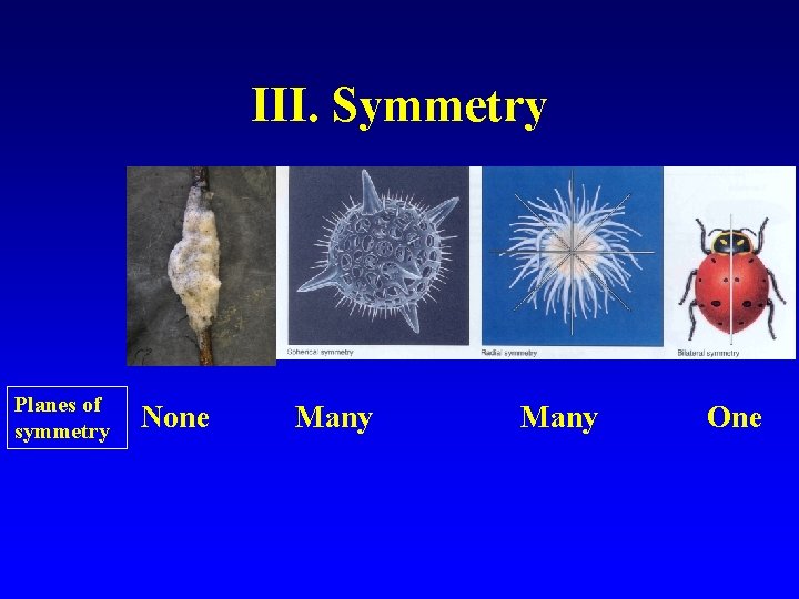 III. Symmetry Planes of symmetry None Many One 