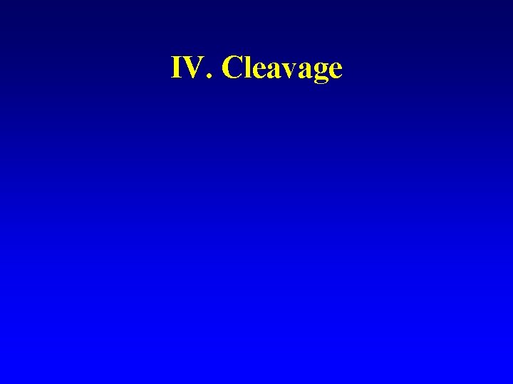 IV. Cleavage 