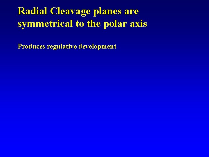 Radial Cleavage planes are symmetrical to the polar axis Produces regulative development 