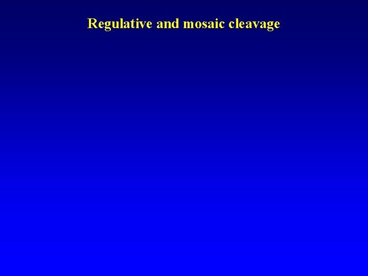 Regulative and mosaic cleavage 