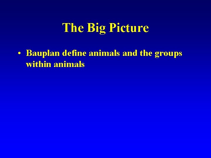 The Big Picture • Bauplan define animals and the groups within animals 