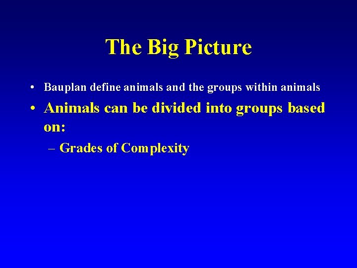 The Big Picture • Bauplan define animals and the groups within animals • Animals