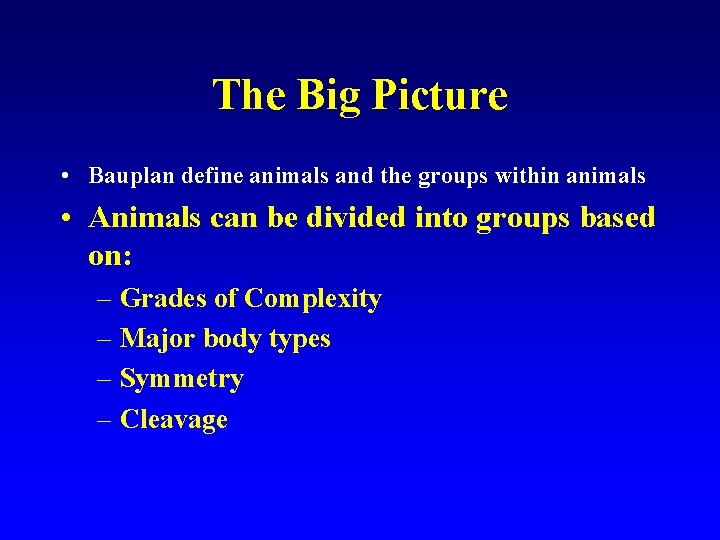 The Big Picture • Bauplan define animals and the groups within animals • Animals