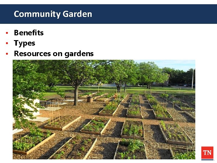 Community Garden • Benefits • Types • Resources on gardens 