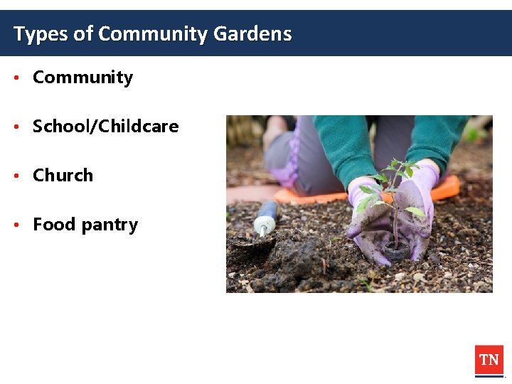 Types of Community Gardens • Community • School/Childcare • Church • Food pantry 