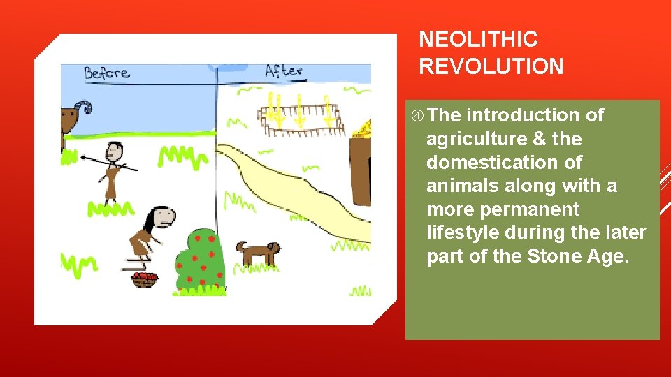 NEOLITHIC REVOLUTION The introduction of agriculture & the domestication of animals along with a