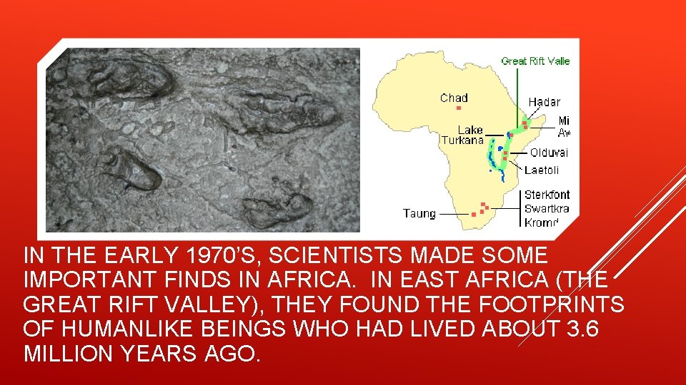 IN THE EARLY 1970’S, SCIENTISTS MADE SOME IMPORTANT FINDS IN AFRICA. IN EAST AFRICA