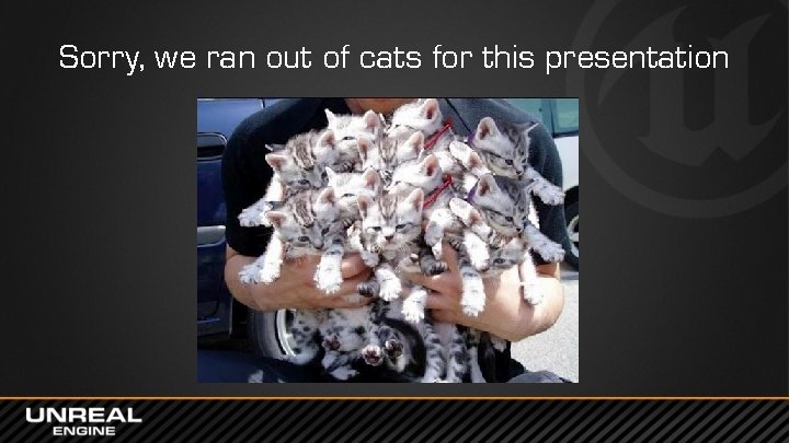 Sorry, we ran out of cats for this presentation 