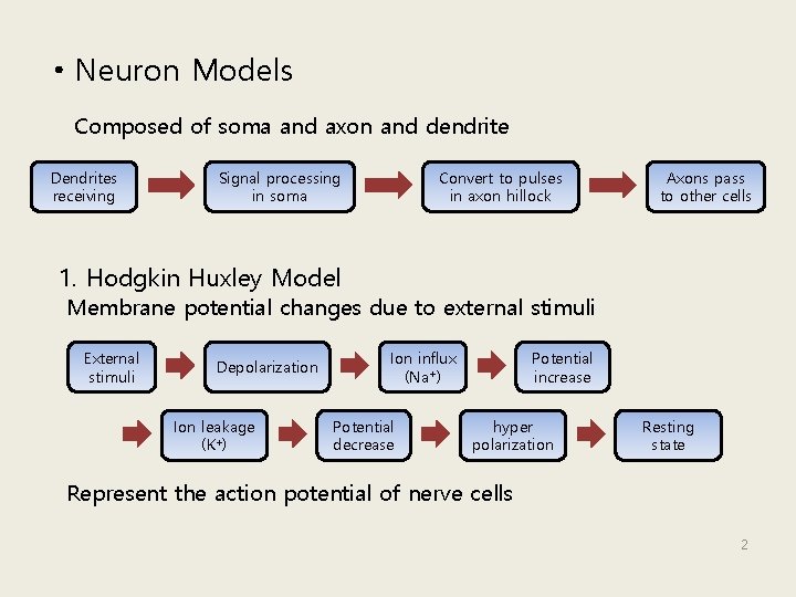  • Neuron Models Composed of soma and axon and dendrite Dendrites receiving Signal