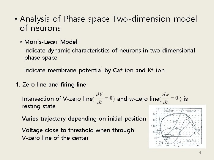  • Analysis of Phase space Two-dimension model of neurons ◦ Morris-Lecar Model Indicate