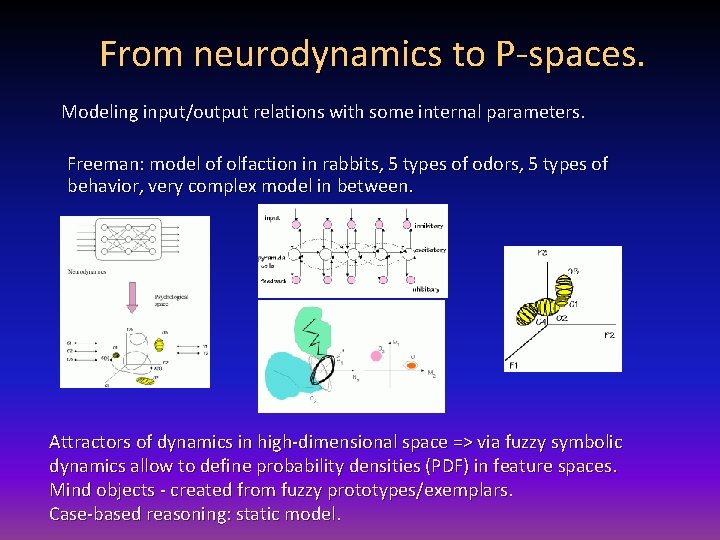 From neurodynamics to P-spaces. Modeling input/output relations with some internal parameters. Freeman: model of
