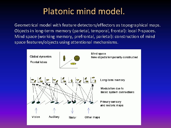 Platonic mind model. Geometrical model with feature detectors/effectors as topographical maps. Objects in long-term
