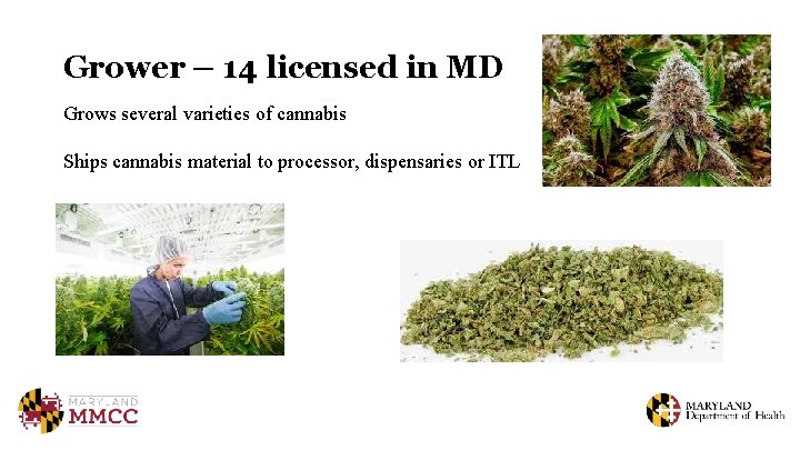 Grower – 14 licensed in MD Grows several varieties of cannabis Ships cannabis material