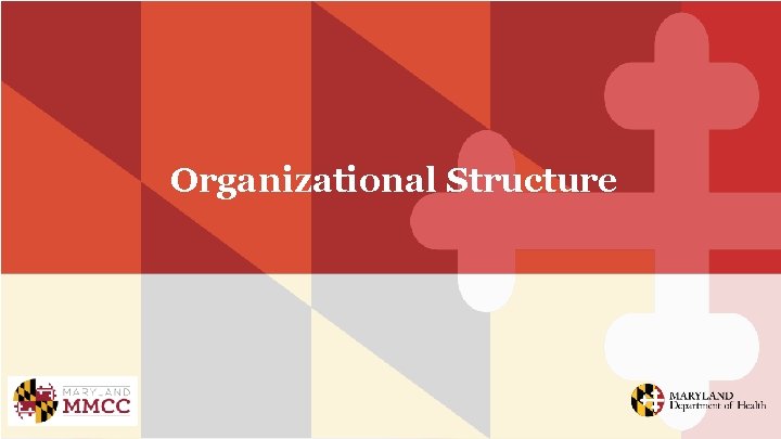 Organizational Structure 